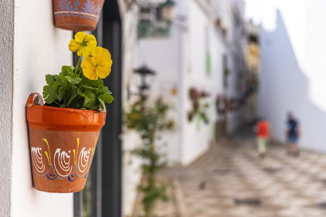 De Lujo Con Jardin Privado Torrox